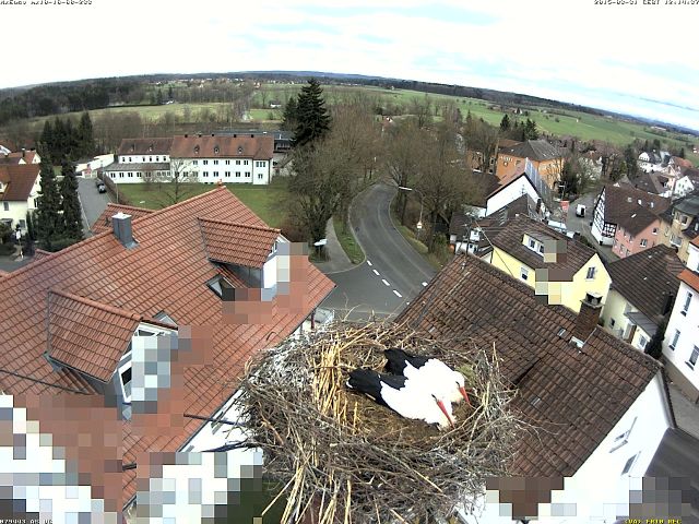 Sie trotzen dem Wind