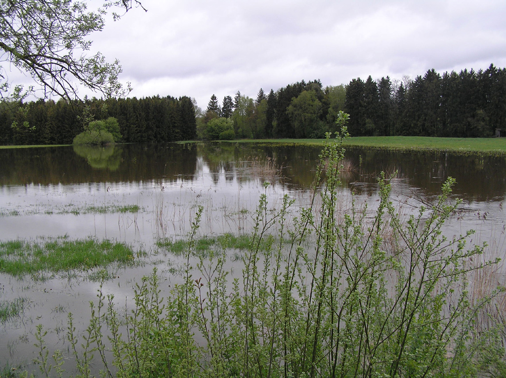 2015-05-02 - Überflutete Storchenwiese