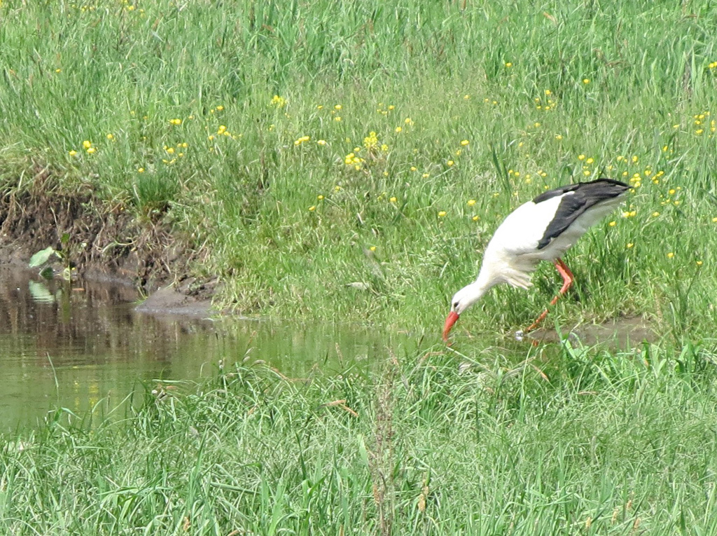 2015-05-13 - Wasser holen