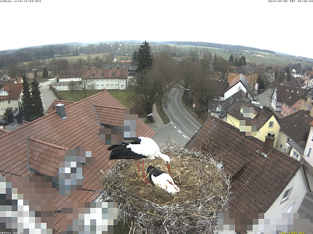 2016-03-25 - Steh auf, ich lös dich ab!