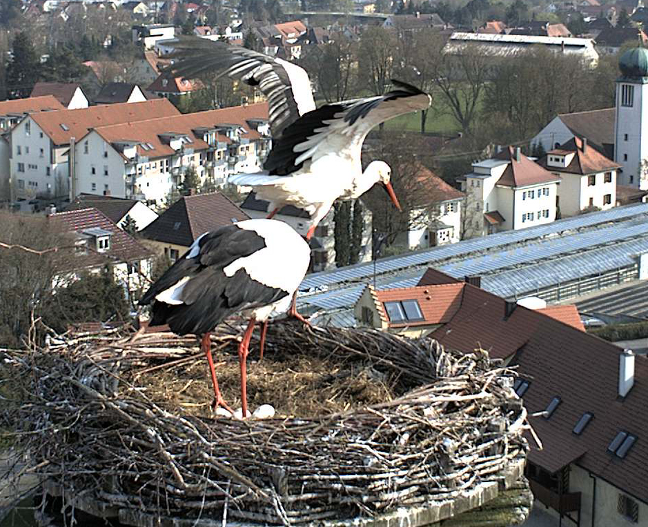 2010-04-20 - Brutablösung