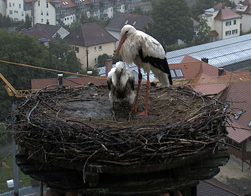 I`m "sitting" in the rain