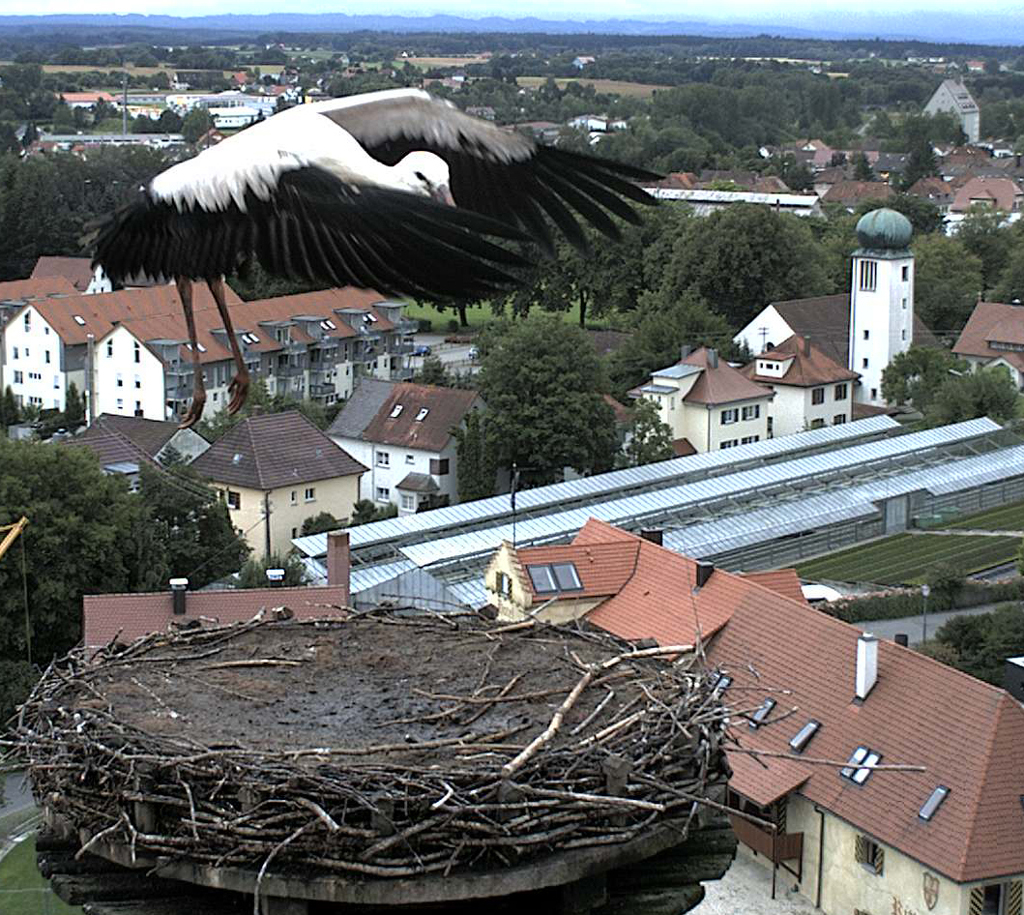 2009-07-18 - Jungfernflug um 11:11 Uhr