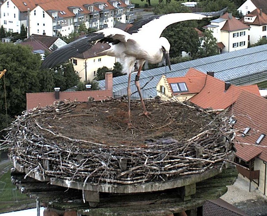 Flugübung, 8.7.2009, 19.17 Uhr