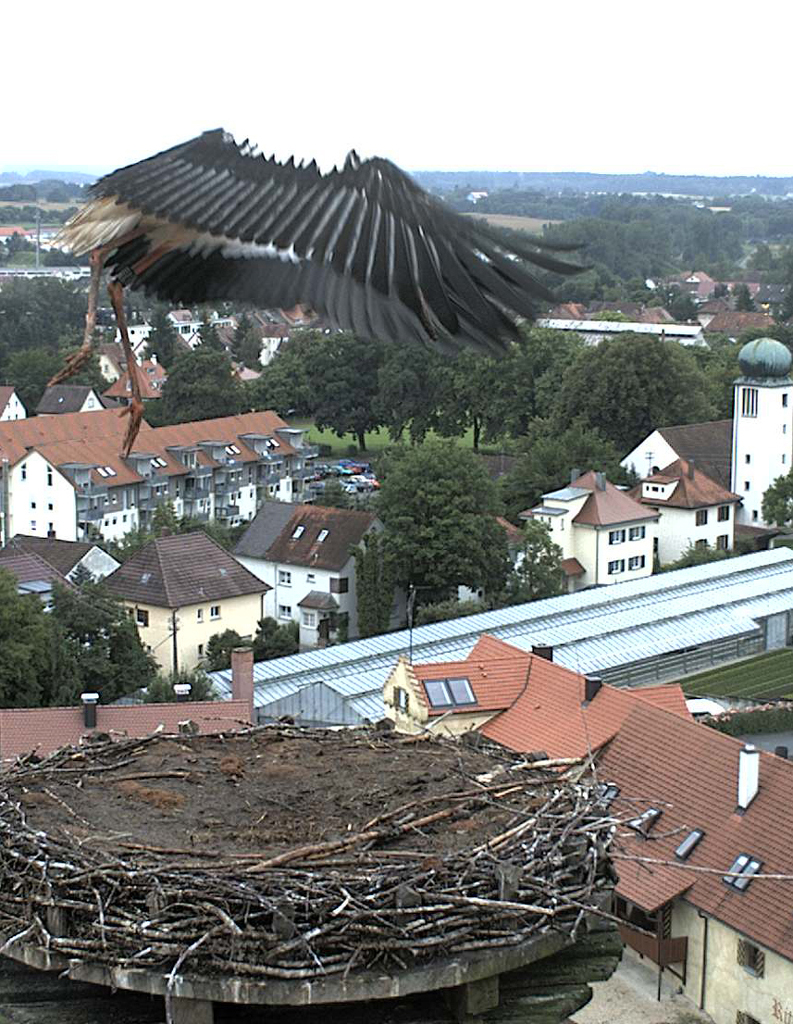 2009-07-17 - Rekord-Hochsprung