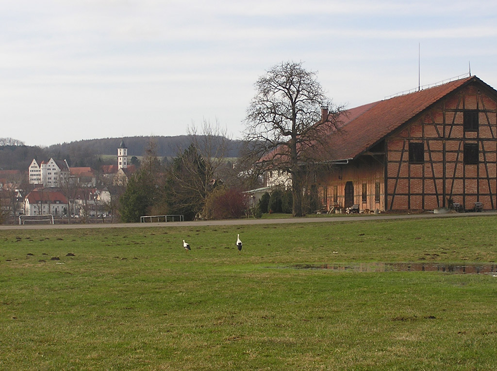 2010-03-22 - Den Horst fest im Blick