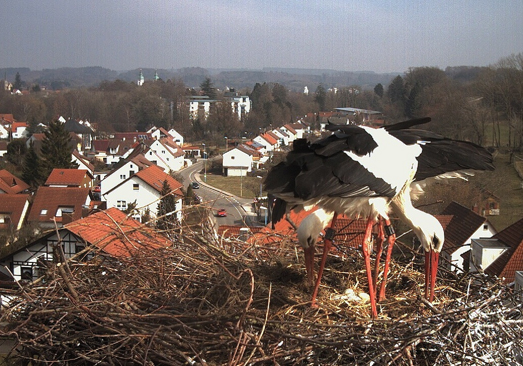 2013-04-06 - Bad Waldsee