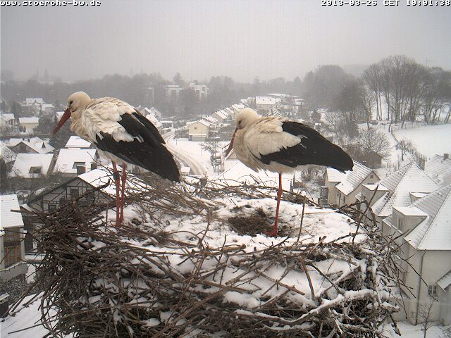 2013-03-26 - Bad Waldsee