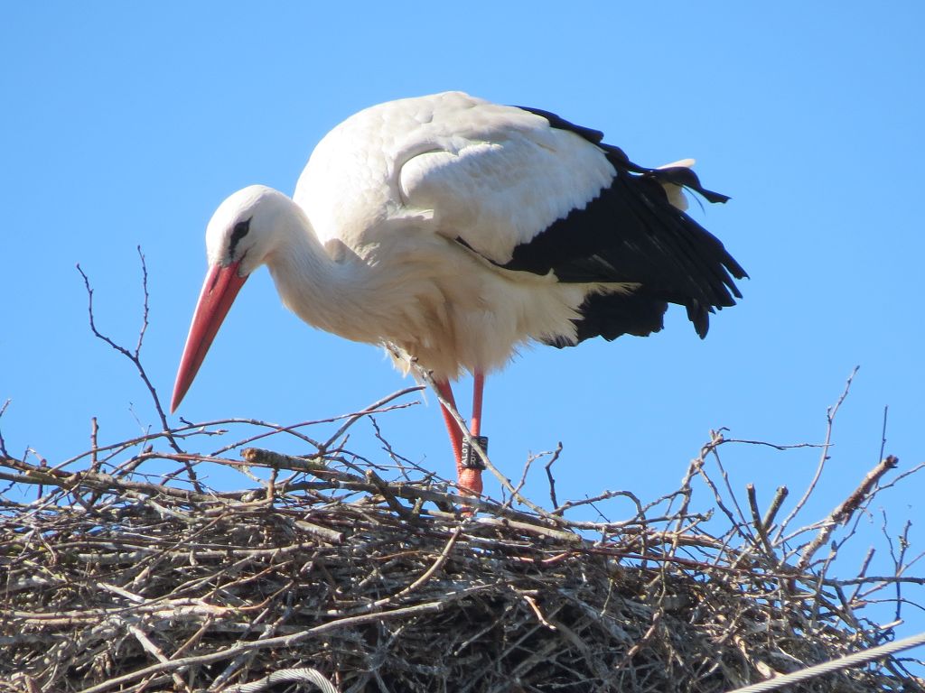 2016-04-12 - Altshausen