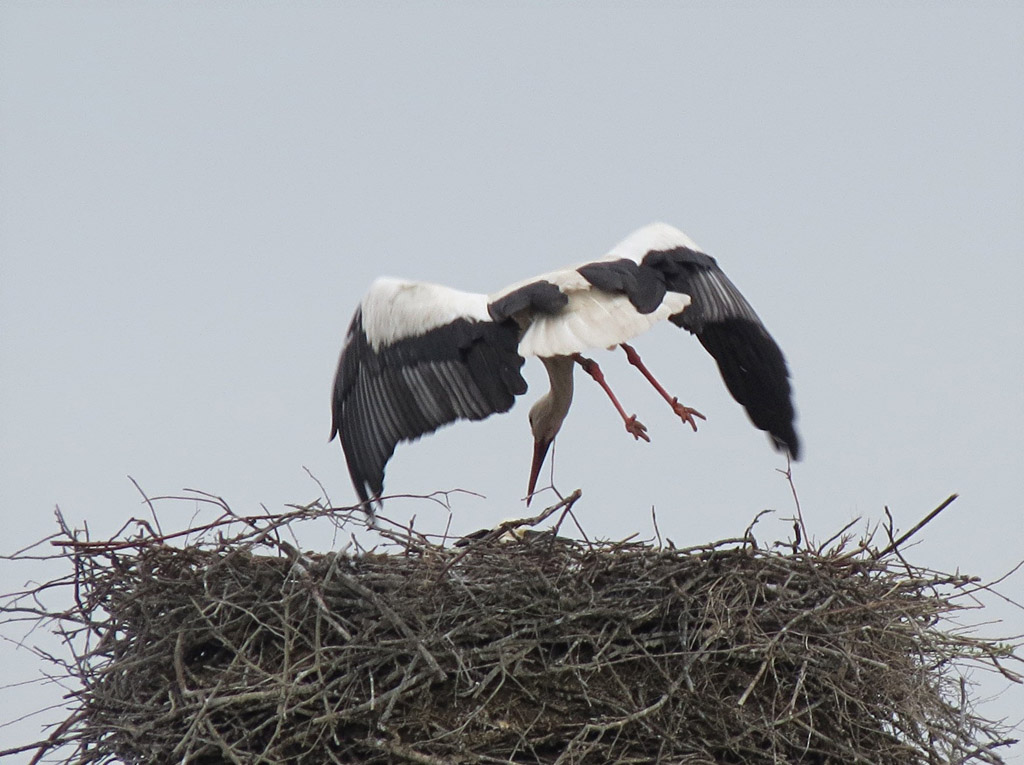 2010-09-05 - Weiterflug