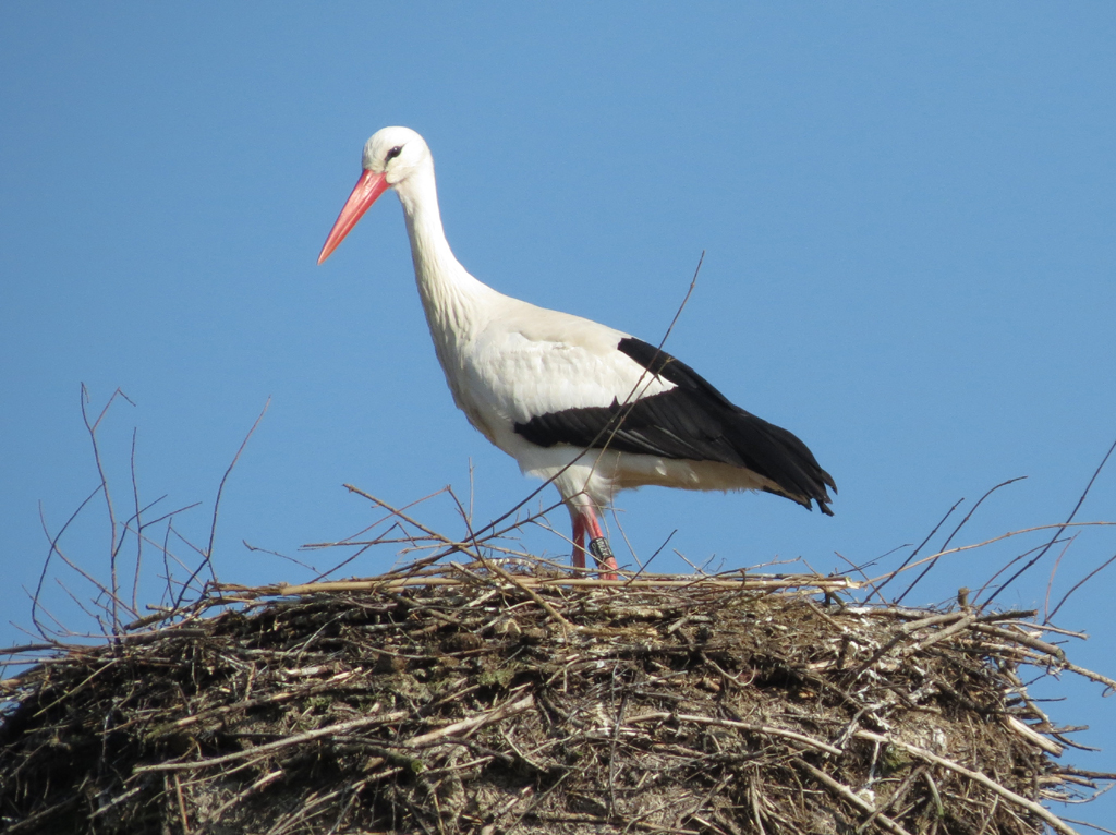 2014-03-11 - Oggelshausen