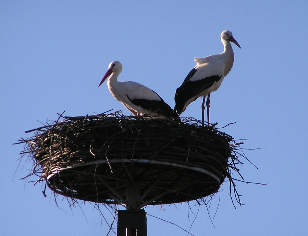 2014-03-03 - Tiefenbach