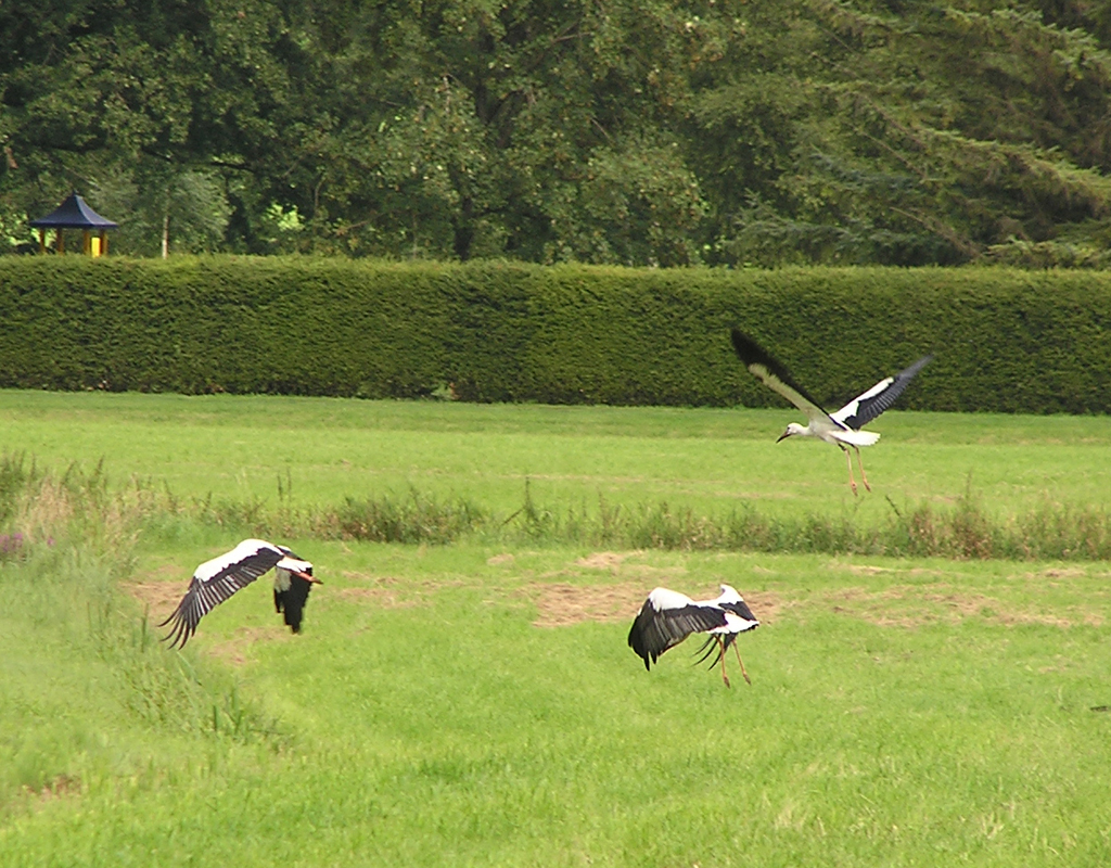 2009-08-05 - Abflug beim Steegersee