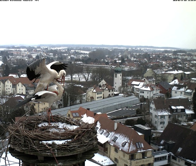 2010-03-15 - Liebe über den Dächern von Aulendorf