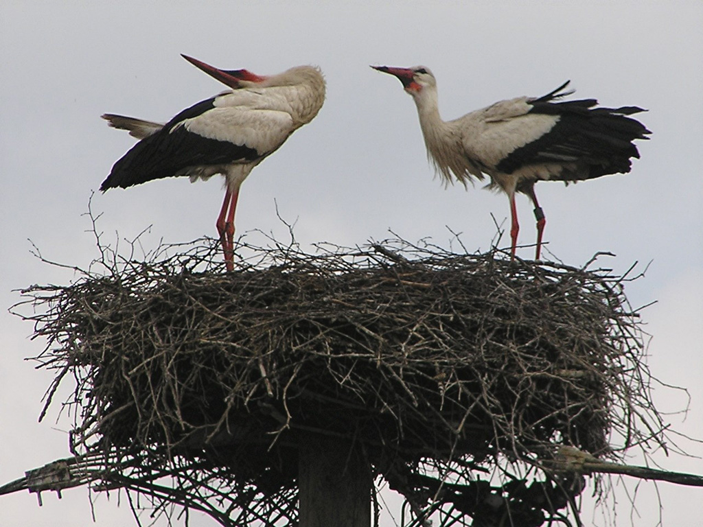 2013-05-25 - Begrüssung zur Ablösung