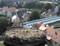 2009-08-21 - Andi ist bereit zum Abflug