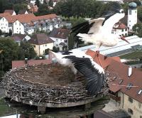 So geht das Fliegen!!! 8.7, 20.32 Uhr