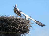 2013-05-18 - Bad Waldsee