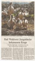 2014-06-04 - Bad Waldsee