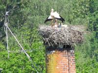 2013-05-18 - Bad Waldsee