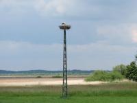 2014-06-01 - Tiefenbach