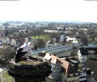 2011-04-02 - Auch mal wieder im Nest