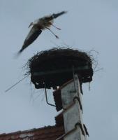 2010-05-10 - Abflug vom Horst